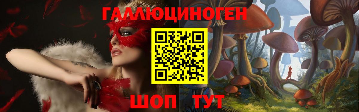 Галлюциногенные грибы Psilocybine cubensis  Вход с VPN  Лыткарино  Псилоцибиновые грибы мицелий 